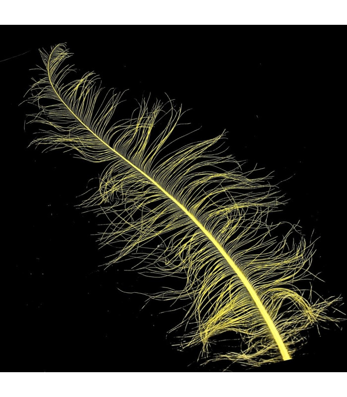 Burnt Ostrich Feathers - 58cm
