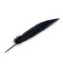 PEACOCK FEATHER 32CM