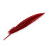 PEACOCK FEATHER 32CM