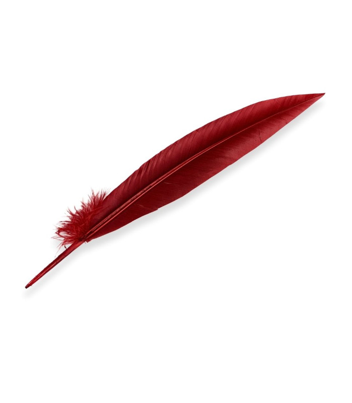 PEACOCK FEATHER 32CM