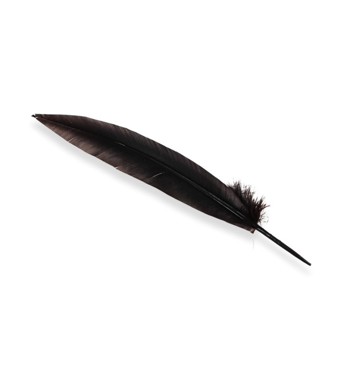PEACOCK FEATHER 32CM