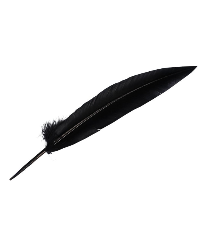 PEACOCK FEATHER 32CM