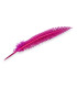PEACOCK FEATHER 32CM