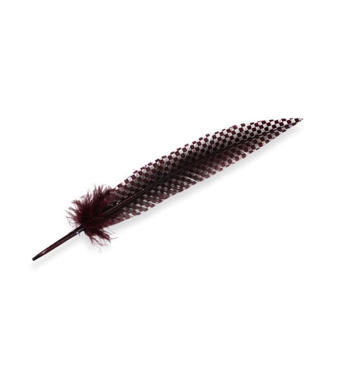 PEACOCK FEATHER 32CM