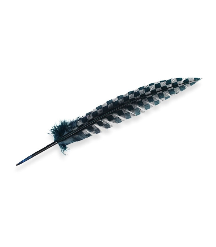 PEACOCK FEATHER 33CM