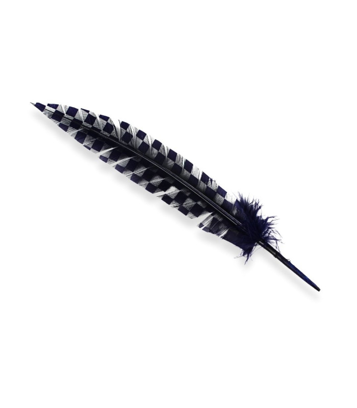 PEACOCK FEATHER 33CM