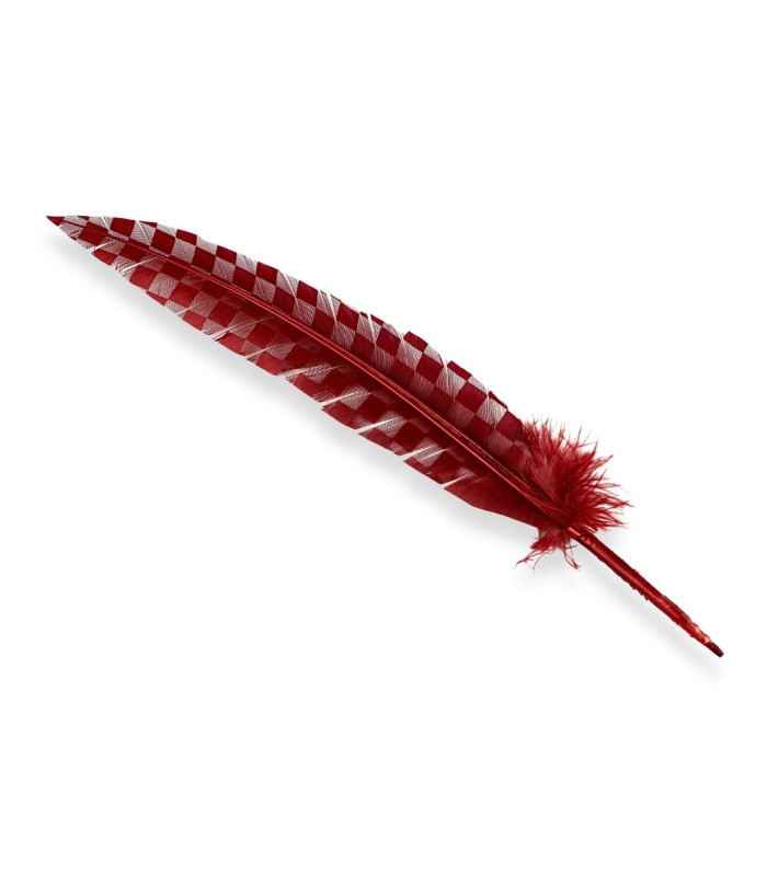 PEACOCK FEATHER 33CM