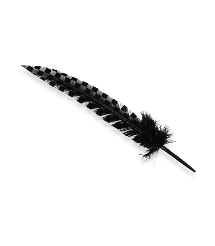 PEACOCK FEATHER 33CM