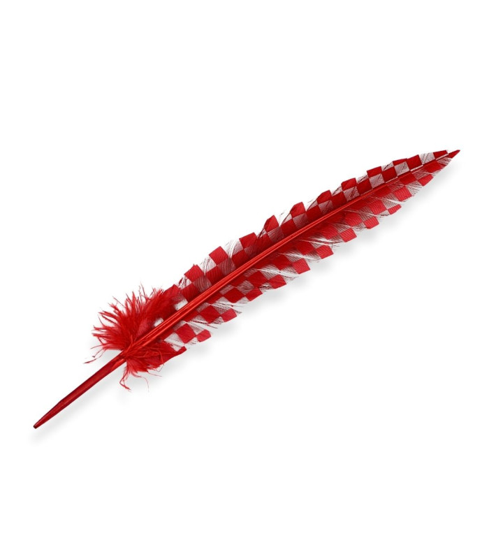 PEACOCK FEATHER 33CM