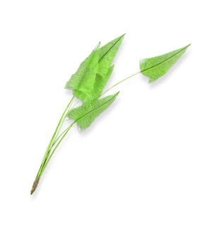 PLUMAS DE AVESTRUZ 37CM