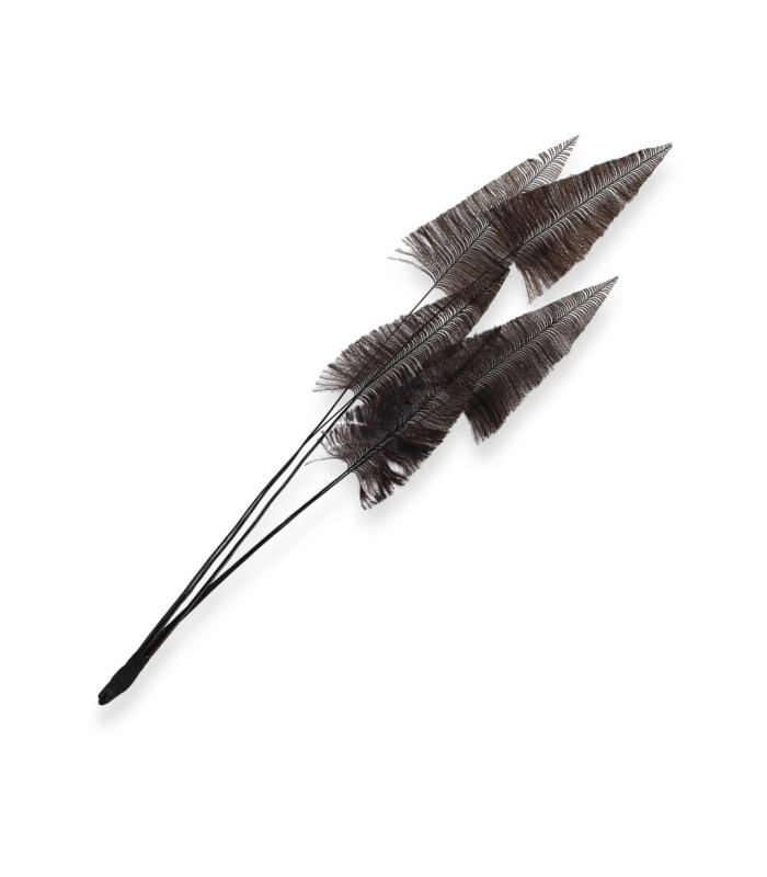 PLUMAS DE AVESTRUZ 37CM