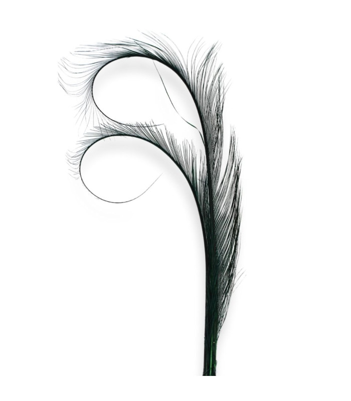 GEFLAMMTE STRAUSSENFEDERN - 29CM