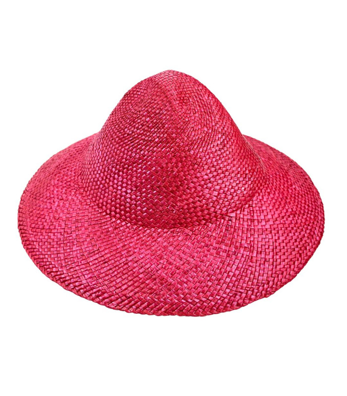 CASCO PAJA DE ARROZ