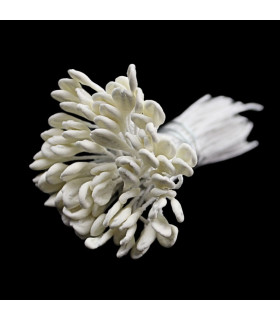 REMO PISTILS – WIRE STEM
