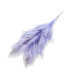 MONTAJE DE PLUMAS - CUELLO DE GALLO