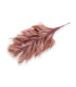 MONTAJE DE PLUMAS - CUELLO DE GALLO
