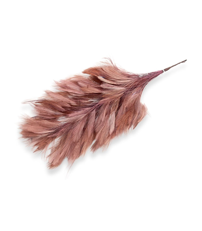 MONTAJE DE PLUMAS - CUELLO DE GALLO