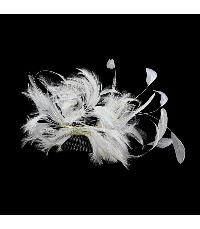 CROWN WITH ROOSTER NECK AND COMB FEATHERS