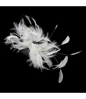 CROWN WITH ROOSTER NECK AND COMB FEATHERS