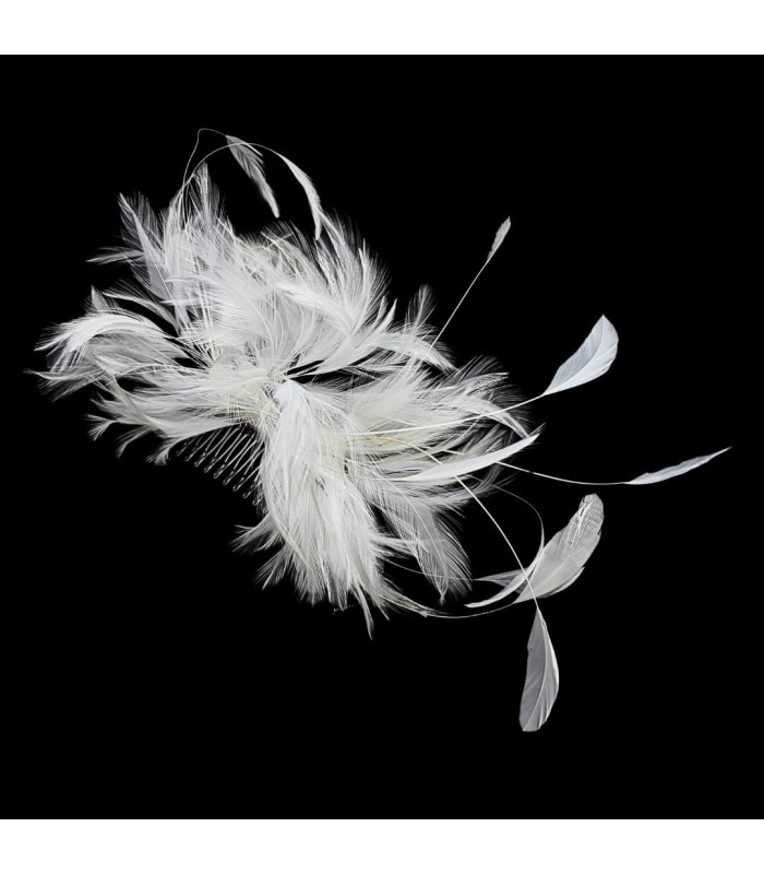 CROWN WITH ROOSTER NECK AND COMB FEATHERS