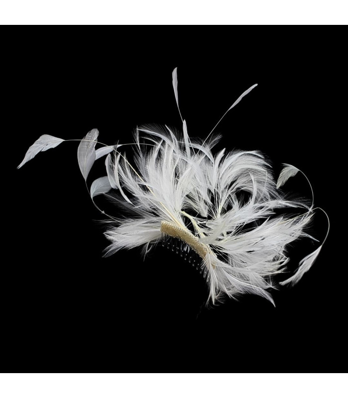 CROWN WITH ROOSTER NECK AND COMB FEATHERS