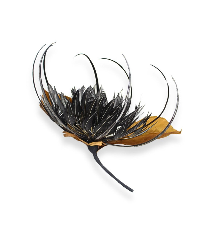 FLOR DE PLUMAS OCA - OCA BIOT