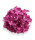 HORTÊNSIA DE TECIDO Ø13CM