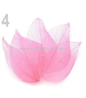 BAG OF DECORATIVES NATURAL LEAFS