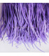 GOOSE BIOT FEATHER FIRST QUALITY -  10 CMS.
