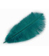 PLUMA DE AVESTRUZ 20 - 25 cm