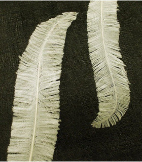 PLUMA DE AVESTRUZ RECORTADA 55 - 65 CMS.