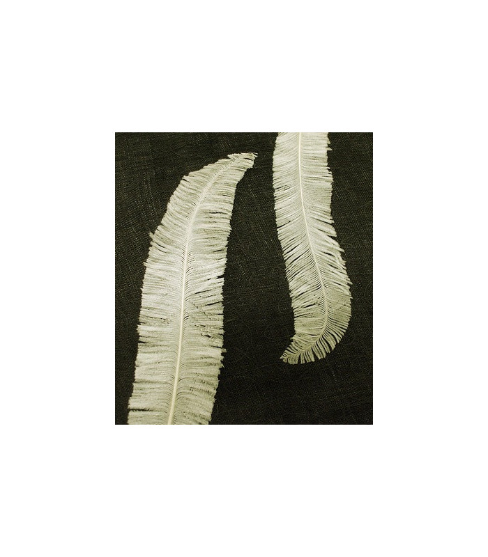 OSTRICH FEATHER 55 - 65 CMS.