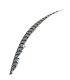 PHEASANT FEATHER LADY AMHERST 80-90 CMS.