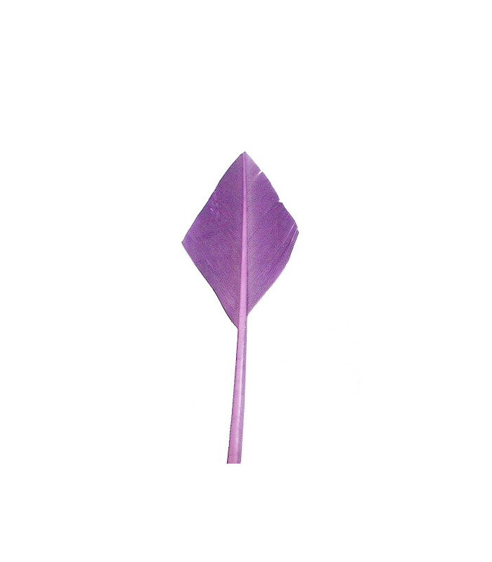 ARROW QUILL 30 CMS.