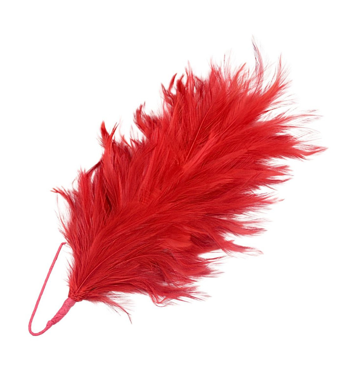 ROOSTER NECK FEATHER MOUNT