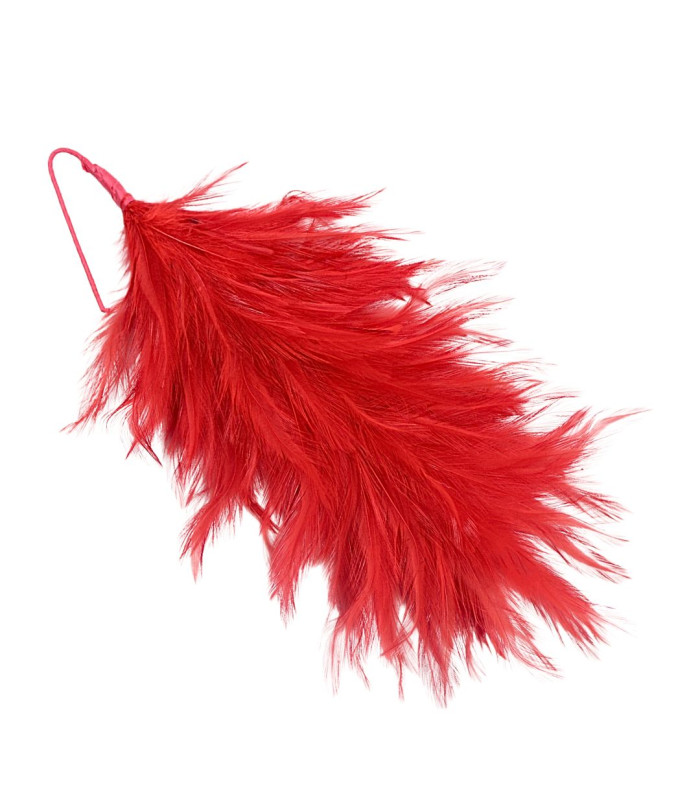 ROOSTER NECK FEATHER MOUNT