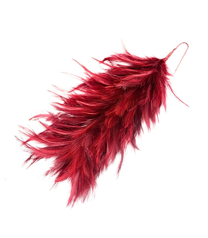 ROOSTER NECK FEATHER MOUNT