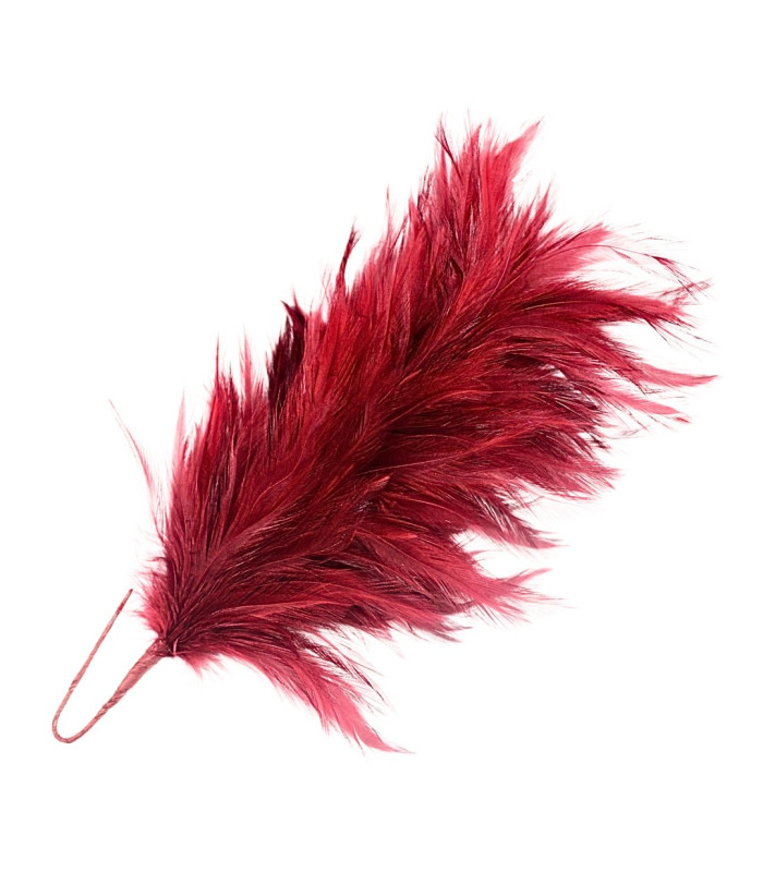 ROOSTER NECK FEATHER MOUNT