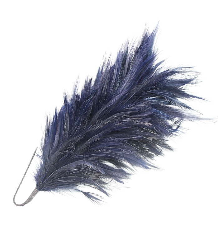 ROOSTER NECK FEATHER MOUNT