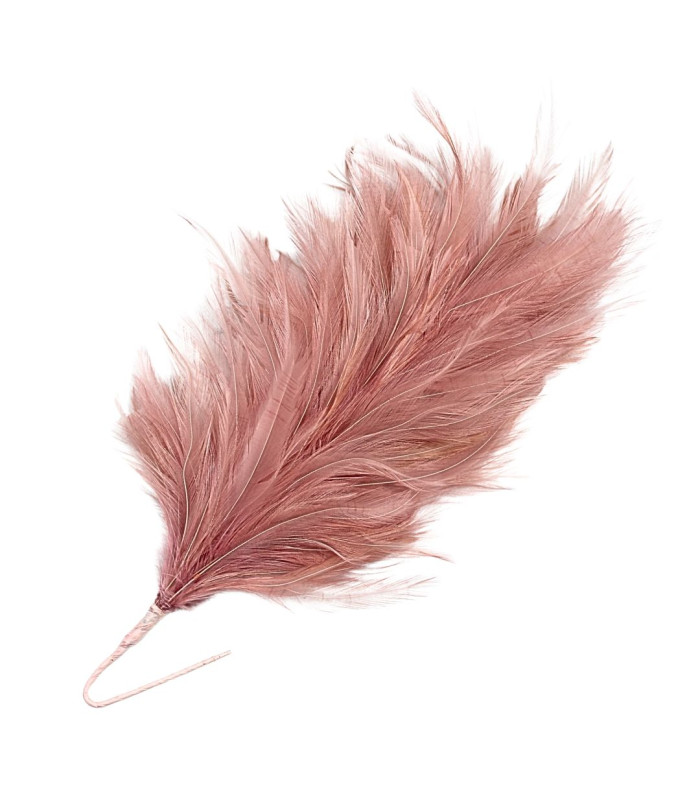 ROOSTER NECK FEATHER MOUNT