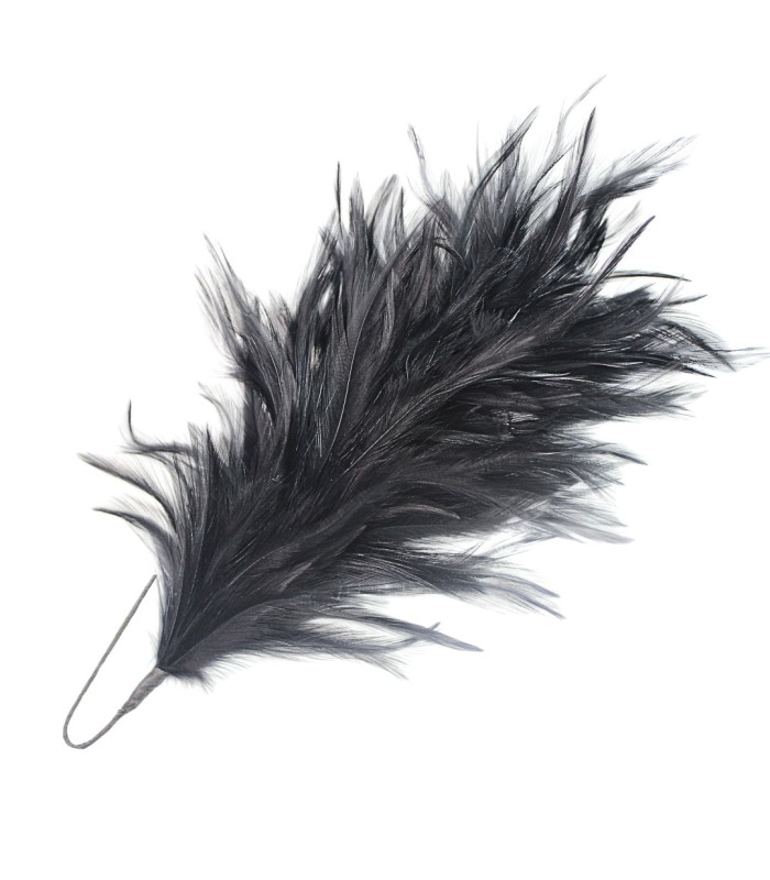 ROOSTER NECK FEATHER MOUNT