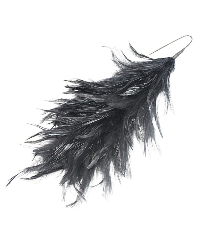 ROOSTER NECK FEATHER MOUNT