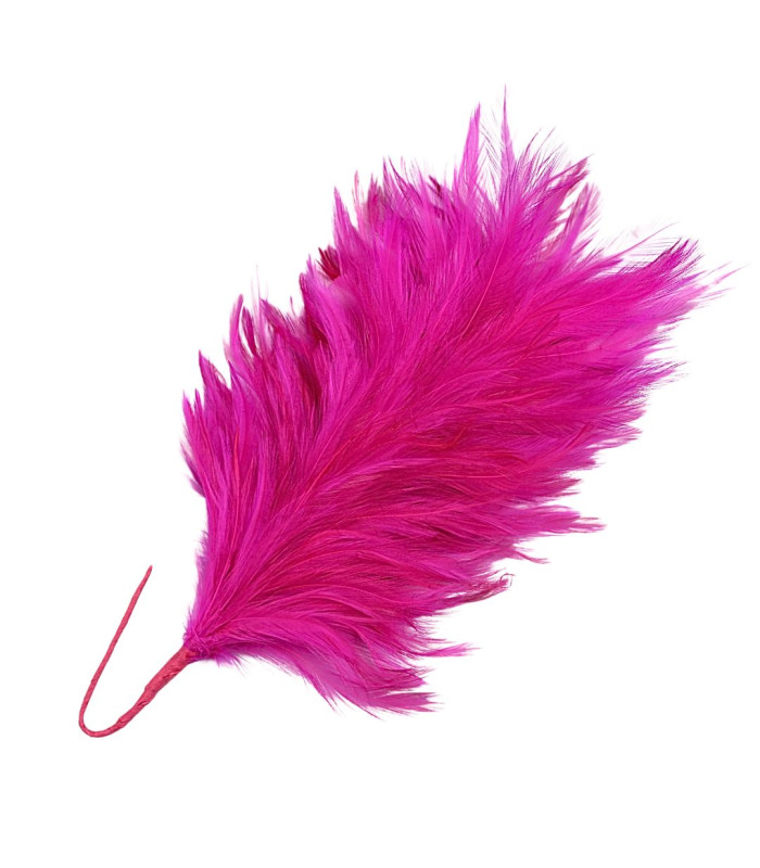 ROOSTER NECK FEATHER MOUNT