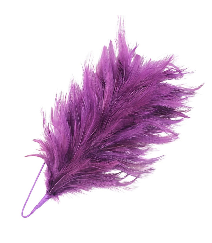 ROOSTER NECK FEATHER MOUNT