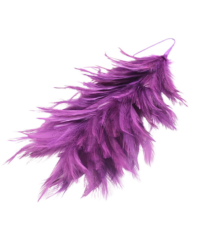 ROOSTER NECK FEATHER MOUNT