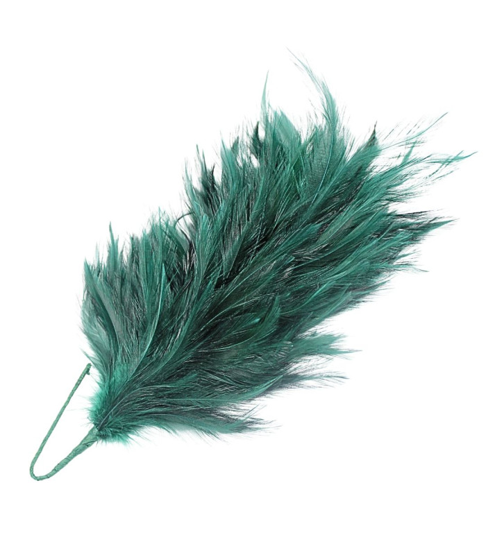 ROOSTER NECK FEATHER MOUNT