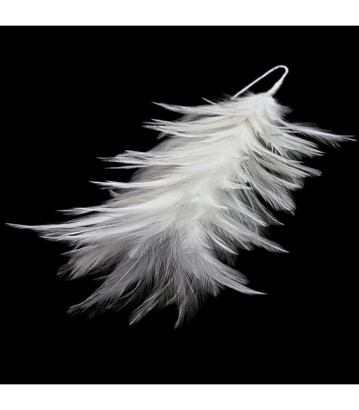 ROOSTER NECK FEATHER MOUNT