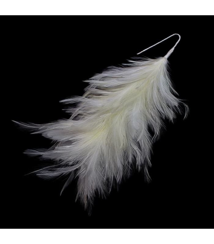 ROOSTER NECK FEATHER MOUNT