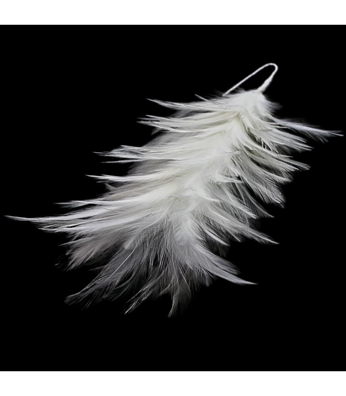 ROOSTER NECK FEATHER MOUNT