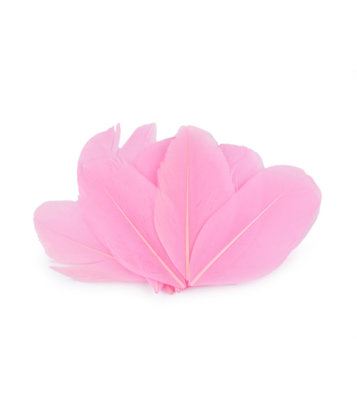 Plumas de ganso 5,5 - 7 cm - Bolsa de 10 unid.